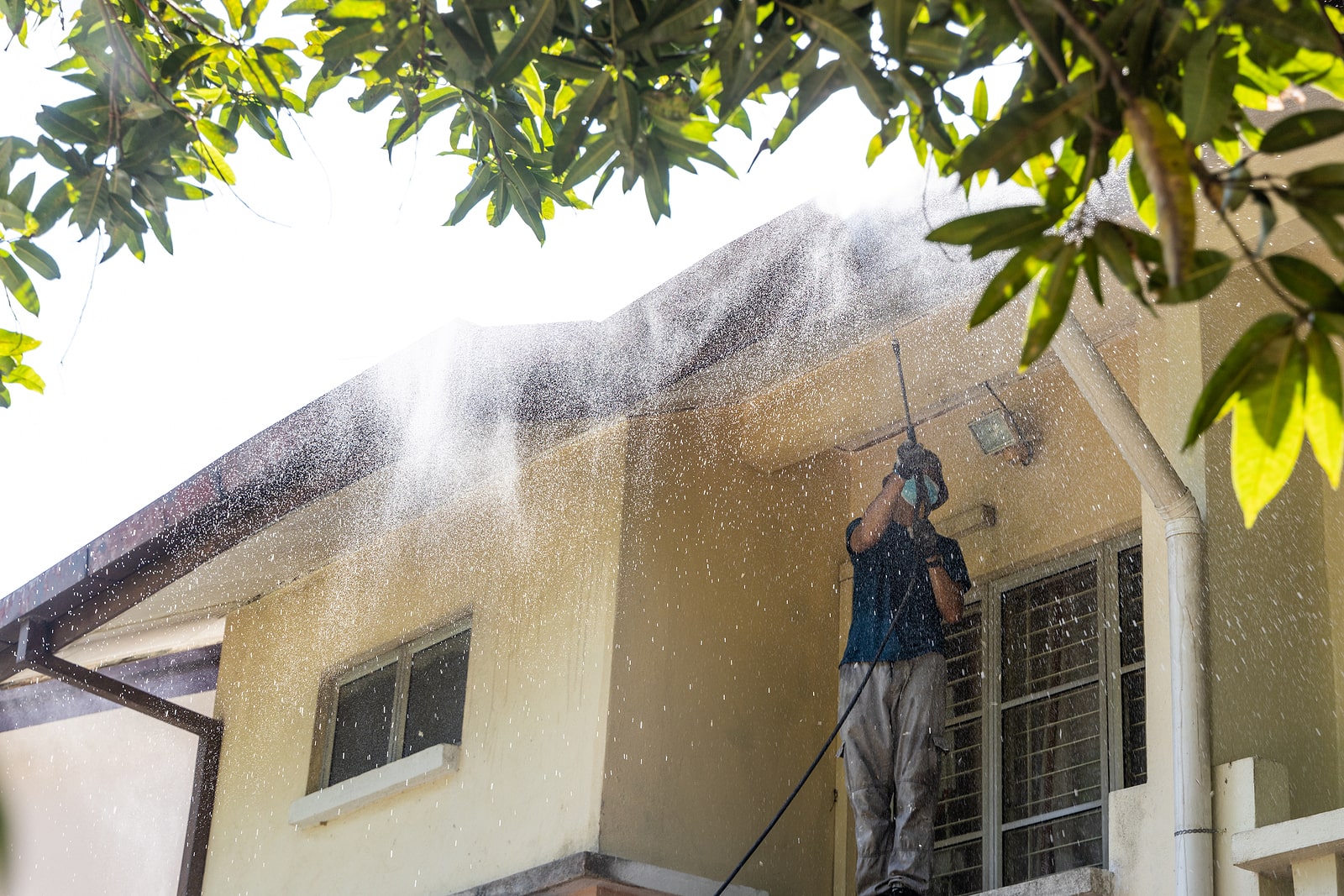 Could Pressure Washing Help Keep Your Home Insect Free? Benitez Pressure washing